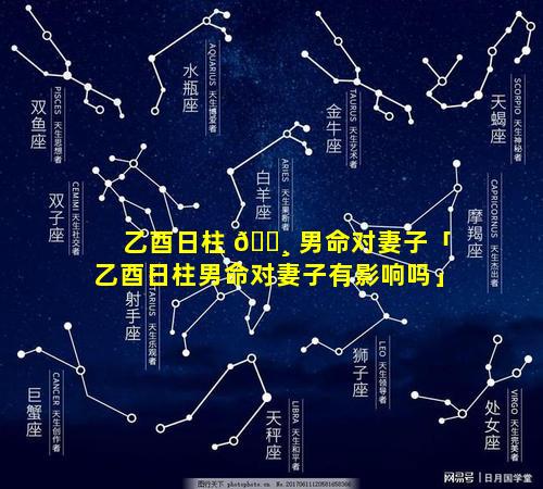 乙酉日柱 🌸 男命对妻子「乙酉日柱男命对妻子有影响吗」